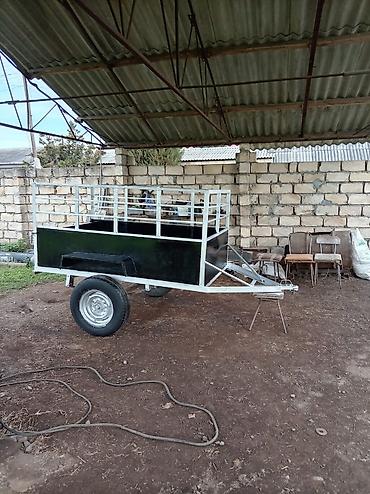 dort tekerlekli motor: Qoşqular – möhkəm metal karkas və taxta döşəmə ilə. Xüsusiyyətlər: - — 9