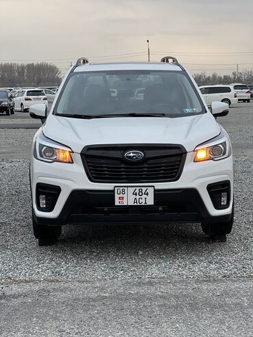 subaru forester 2017: Subaru Forester: 2019 г., 2.5 л, Вариатор, Бензин