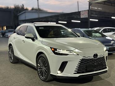 erl grup: Lexus RX: 2024 г., Автомат, Кроссовер — 1