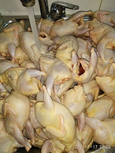 продаю бычка: Перепела для гриля и запекания качество отличное, молодняк, вес от