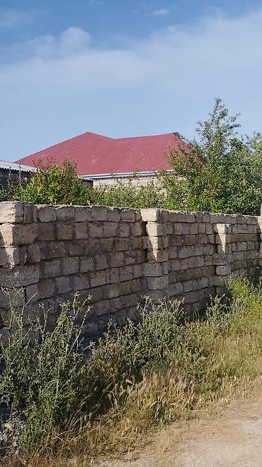 basavik satisi: 8 sot, Kənd təsərrüfatı, Barter mümkündür, Bələdiyyə — 3