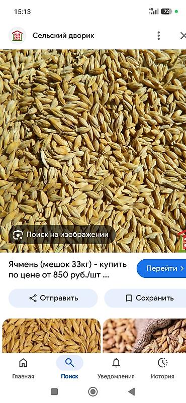 Ячмень, мешок 33 кг - Кормовое зерно ячменя, цельное. - Удобная