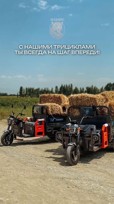 набор ключей force купить: Мотороллер муравей Электро, 50 км, 1000 - 1499 кг, Новый
