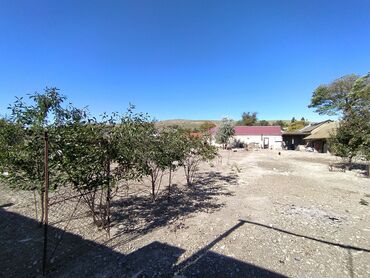 Torpaq sahələrinin satışı: 6 sot, Kənd təsərrüfatı, Kupça (Çıxarış) — 10