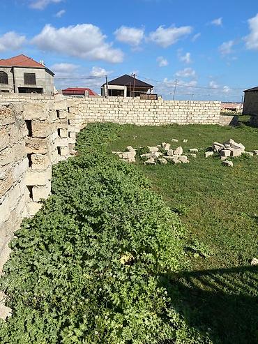 bine kendi: Köyne bine sederek bazarin beton yoldan 300 metir Binenin girisinde — 3