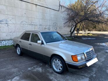 кузов на маз: Mercedes-Benz W124: 1990 г., 3 л, Автомат, Дизель, Седан