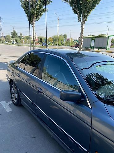 ноздри на е39: BMW 5 series: 1999 г., 2.5 л, Автомат, Бензин, Седан — 5