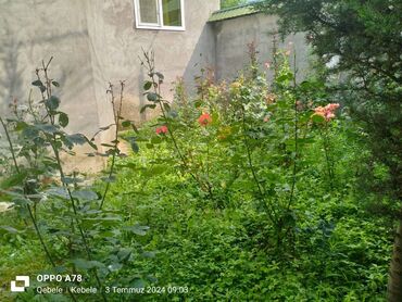 Həyət evləri və villaların satışı: 4 otaqlı, 120 kv. m, Yeni təmirli -da lalafo.az — 5 Həyət evləri və villaların satışı: 4 otaqlı, 120 kv. m, Yeni təmirli — 5