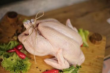 Үй жана бакча: Тушка курицы целиком. Домашнее производствонатуральные кормабез — 2