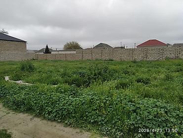 binə atcılıqda torpaq: 5 sot, Tikinti, Mülkiyyətçi, Müqavilə, Bələdiyyə — 5