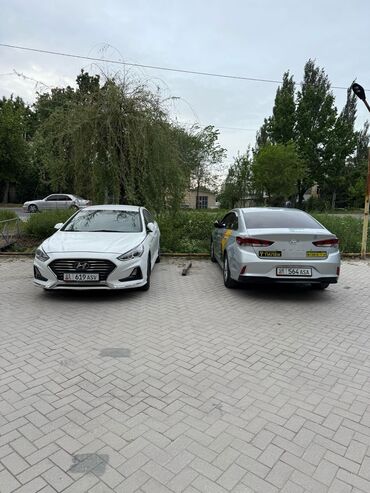 Легковой транспорт: Сдаю в аренду: Легковое авто, Под такси