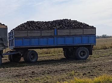 Одноосный прицеп сельскохозяйственный (двухосная тележка) синего