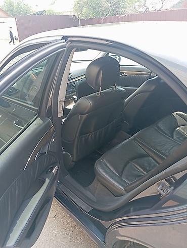 купить авто дизель до 3000 долларов: Mercedes-Benz E-Class: 2005 г., 3 л, Автомат, Дизель, Седан — 9