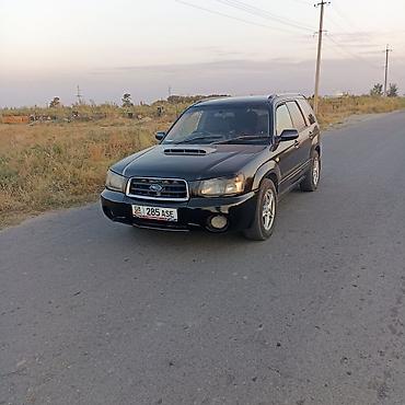 богажник фит: Subaru Forester: 2004 г., 2 л, Автомат, Бензин, Кроссовер — 5