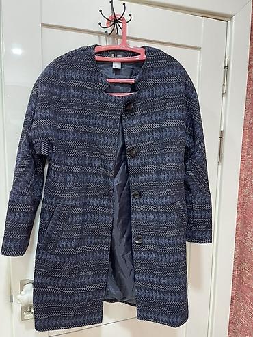 Костюмы с шортами: Набор женской одежды (3 предмета): 1) Пальто без воротника - Цвет — 1