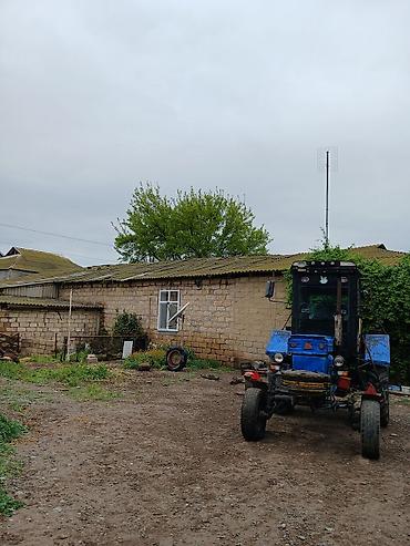 traktor mtz 80: Traktor Belarus (MTZ) T28, 1987 il, 28 at gücü, motor 1.8 l, İşlənmiş — 1