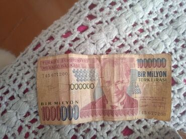 отдам добермана: Отдам даром