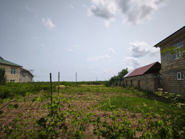Torpaq sahələrinin satışı: 9 sot, Tikinti, Mülkiyyətçi, Kupça (Çıxarış)