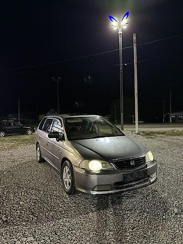 ом 613: Honda Odyssey: 2003 г., 2.3 л, Автомат, Бензин, Универсал — 2