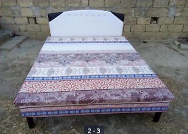 Kravat taza — 1
