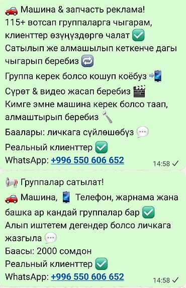 Audi: Audi : 2026 г. — 1