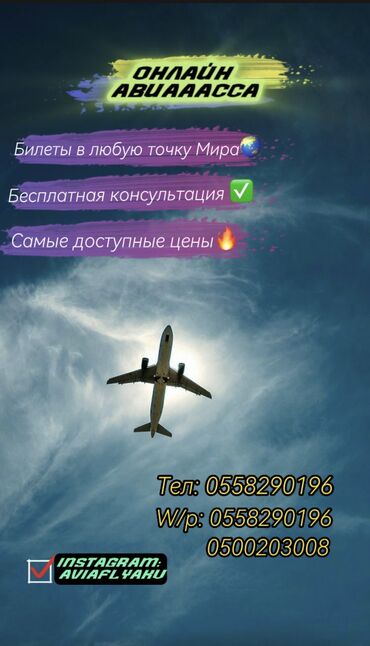 сидушка туристическая: ️Билеты по всему Миру🌏 ✈️Бесплатная консультация 👍🏻 ✈️Выгодная цена 🔥