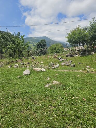 Torpaq sahələrinin satışı: Satış: Dağ mənzərəli torpaq sahəsi - Yaşıllıqla əhatəli, sakit təbiət — 4