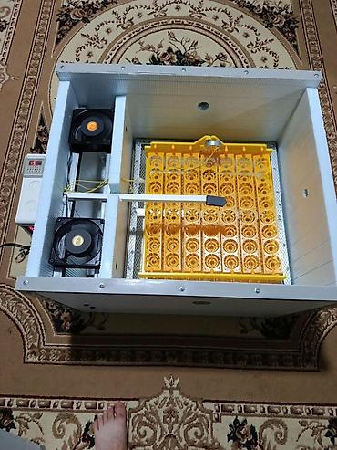 c 230 kompressor: İnkubator Servis – sağlam cücələr üçün etibarlı xidmət Təklif olunan — 2
