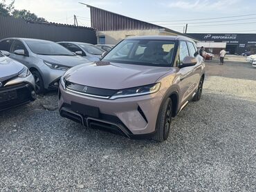зарядные станции для электромобилей купить: BYD : 2024 г., 0.1 л, Робот, Электромобиль, Кроссовер