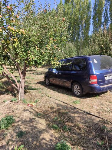 Kia: Kia Carnival: 2004 г., 2.9 л, Механика, Дизель, Минивэн