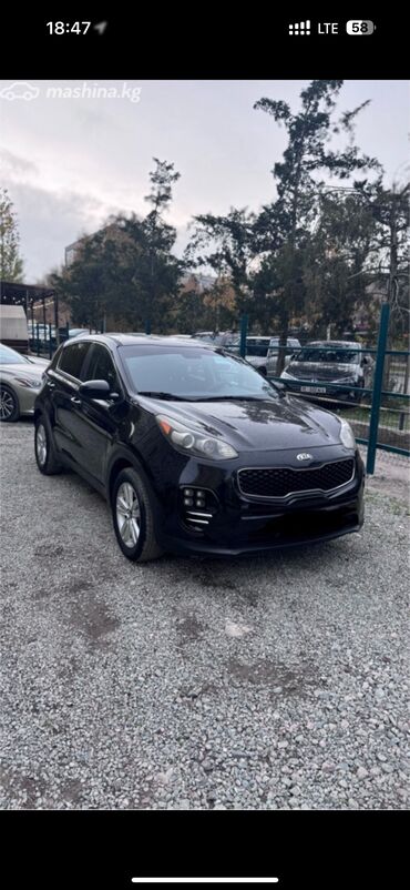 Kia: Kia Sportage: 2017 г., 2.4 л, Автомат, Бензин, Кроссовер