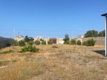 Torpaq sahələrinin satışı: 12 sot, Mülkiyyətçi, Kupça (Çıxarış) — 8