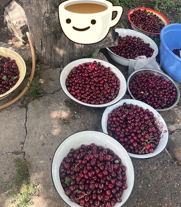 Продажа домов: Дом, 95 м², 4 комнаты, Собственник, Старый ремонт at lalafo.kg — 13 Продажа домов: Дом, 95 м², 4 комнаты, Собственник, Старый ремонт — 13