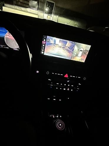 Kia: Kia Carnival: 2020 г., Минивэн — 24