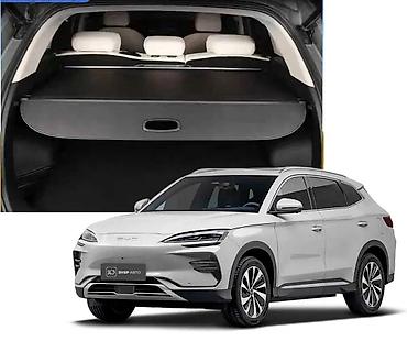 Weltmeister: Weltmeister EX5, 2020 г. — 10