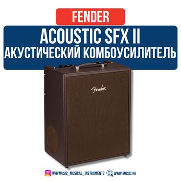 Динамики и колонки: Акустический комбоусилитель Fender Acoustic SFX II Идеальный