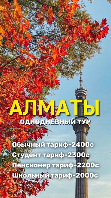 2 дневные туры алматы: 🇰🇿 АЛМАТЫ🇰🇿 Однодневный тур! Едем 🚌 —————————————— Каждые выходные