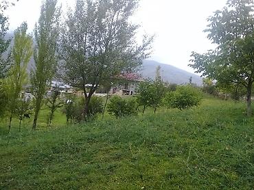 Torpaq sahələrinin satışı: 14 sot, Tikinti, Mülkiyyətçi, Kupça (Çıxarış) — 13