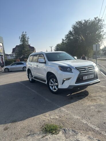 жип мерс: Lexus GX: 2010 г., 4.6 л, Автомат, Бензин, Внедорожник