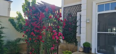 Bağ evlərinin kirayəsi: Mərdəkan, 200 kv. m, 7 otaqlı, Hovuzlu, İnternet, Qaz, İşıq — 19