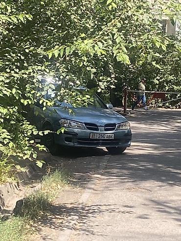 ниссан альмера и 16: Nissan Almera: 2000 г., Механика, Бензин, Хэтчбэк — 4