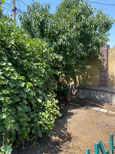 Продажа коттеджей и домов: Срочно Продаётся дом район куренкеева орозбекова по улице тельмана — 6