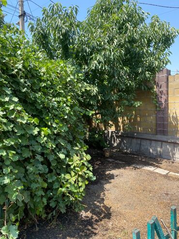 Продажа домов: Дом, 77 м², 3 комнаты, Собственник, Старый ремонт at lalafo.kg — 8 Продажа домов: Дом, 77 м², 3 комнаты, Собственник, Старый ремонт — 8