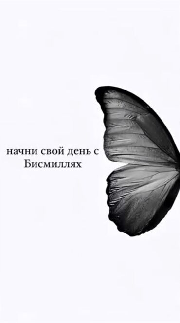 купить салют бишкек: Ищу работу 18 
Любой график