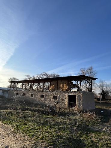 пастбище: Farm КРС, 10 соток, Действующий, Без оборудования, Электричество — 2