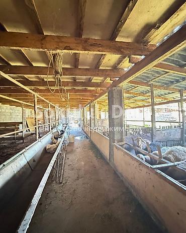 село тон: 🏠Продается дом в с. Романовка 🟡Комнаты: 4 🟡Участок: 14 соток — 6