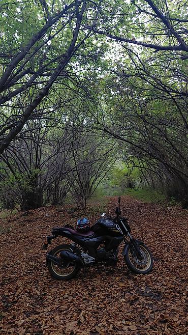 tap az moped: Yamaha 250 sm3 — 1