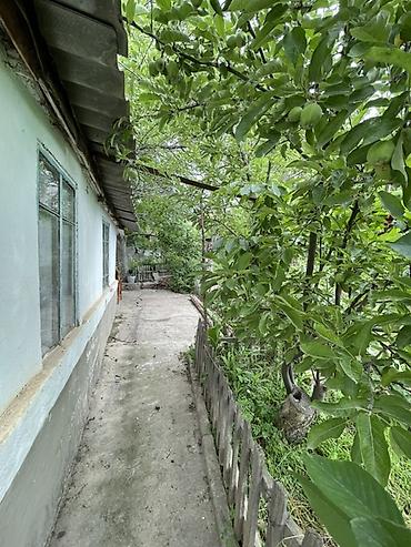 Продажа коттеджей и домов: Ысык -Көлдүн түштүк тарабынан Кажы- Сай айылынан үй сатылат . Участогу — 14