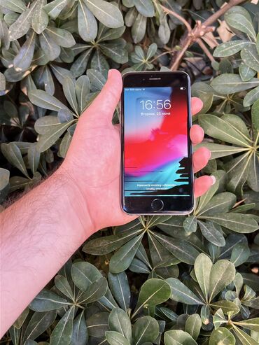 apple iphone 6s: IPhone 6, 16 ГБ, Черный, Гарантия, Отпечаток пальца