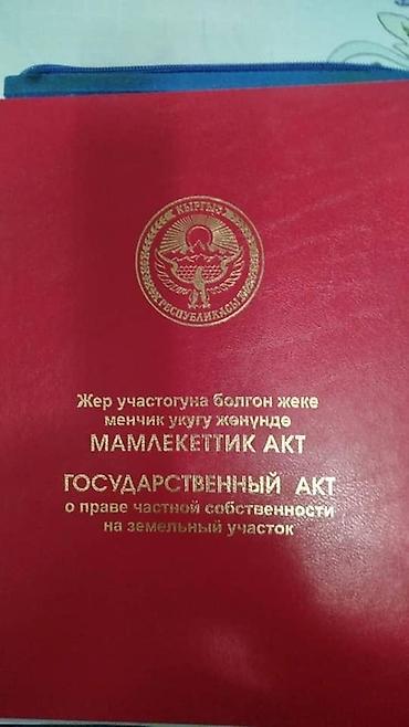 в манасе: 423 соток, Красная книга — 1